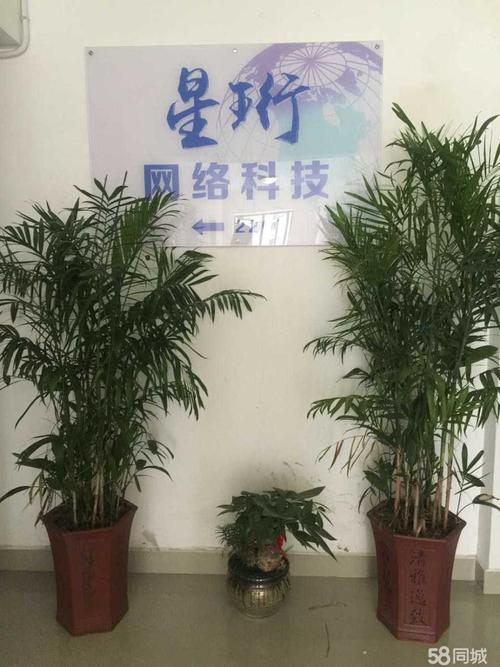 线上推广专员